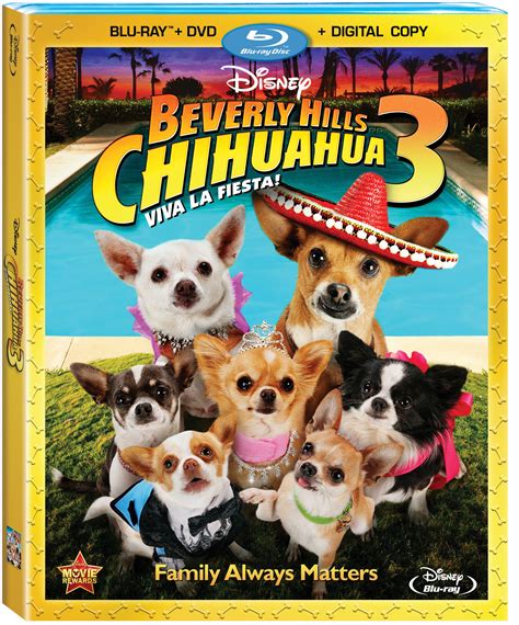 beverly hills chihuahua chloe|beverly hills chihuahua watch online.